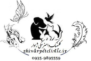 کلینیک دامپزشکی ژیوار